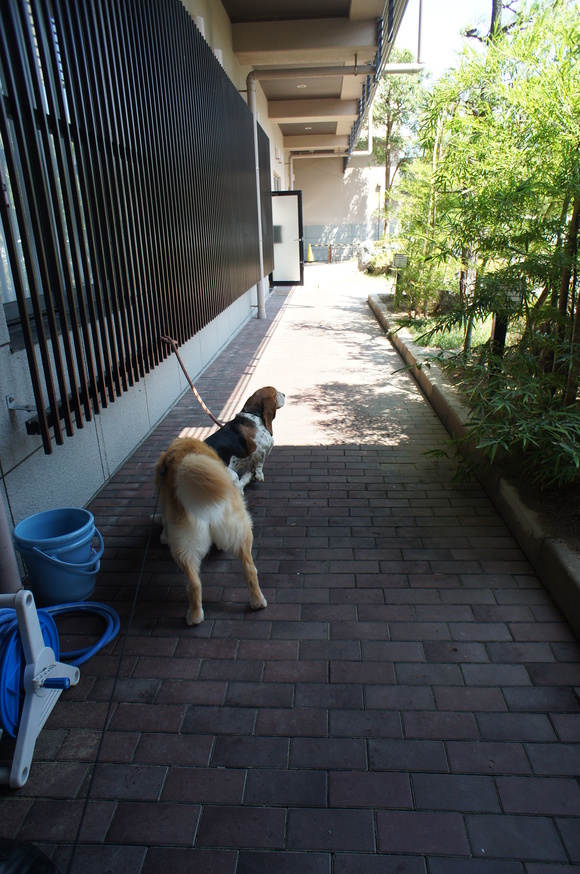 a0040978_16573721.jpg