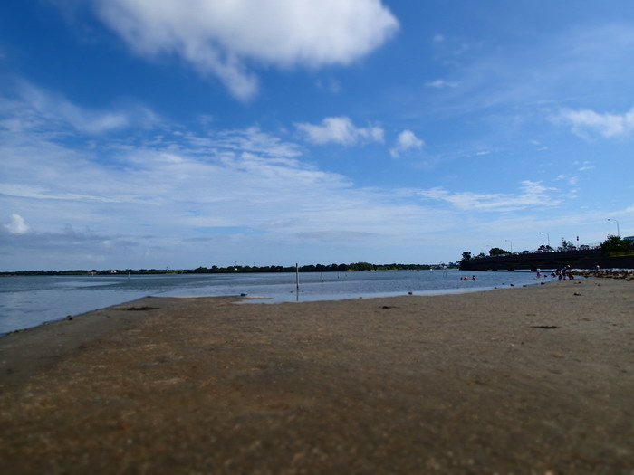 c0197578_12124974.jpg