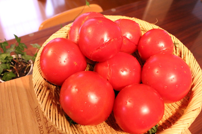 畑の完熟トマトの使い方♪　～　調味料いらずの贅沢ピューレ　～_d0207283_6145625.jpg
