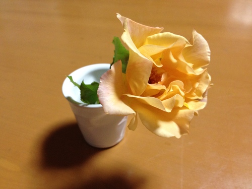 d0204189_932028.jpg