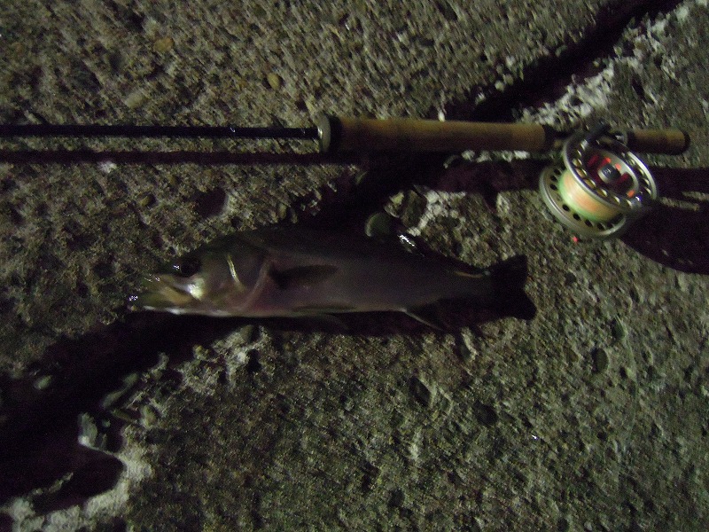 b0233990_20563669.jpg