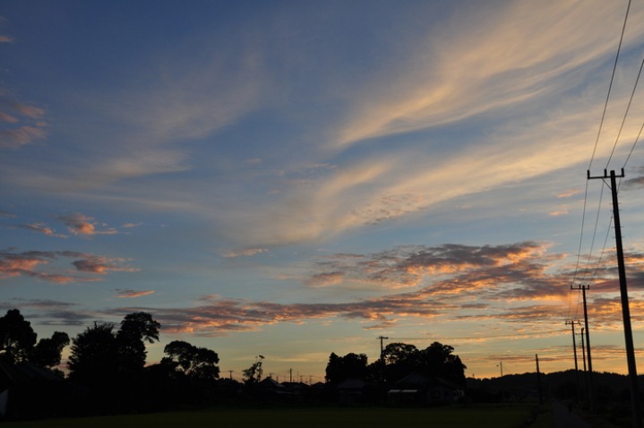 d0021491_23391571.jpg