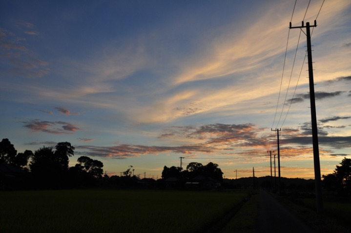 d0021491_23405536.jpg