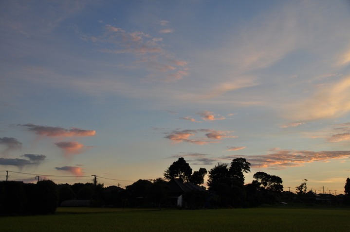 d0021491_2340786.jpg