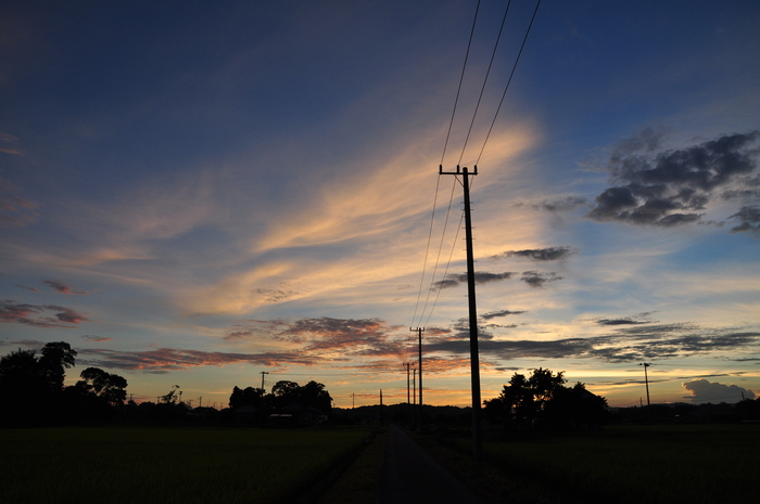 d0021491_2349723.jpg