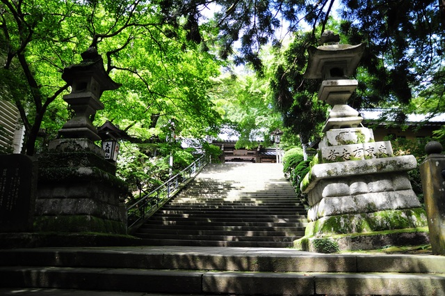 大雄山最乗寺でおさんぽ_e0244492_2264326.jpg