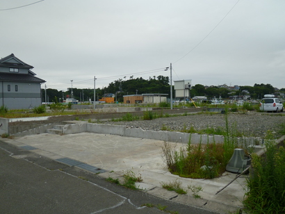 a0134296_085280.jpg