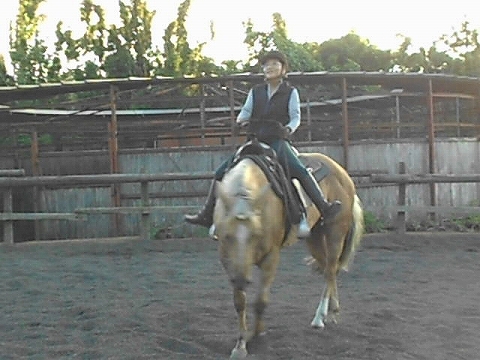 b0147203_0525368.jpg