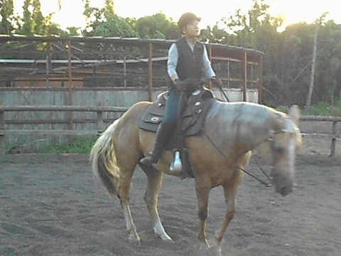 b0147203_054356.jpg