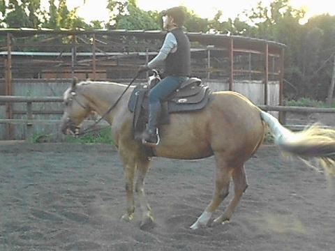 b0147203_0543629.jpg