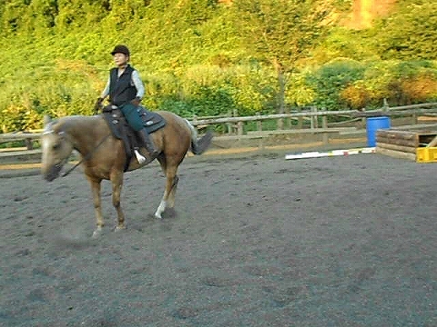 b0147203_115562.jpg