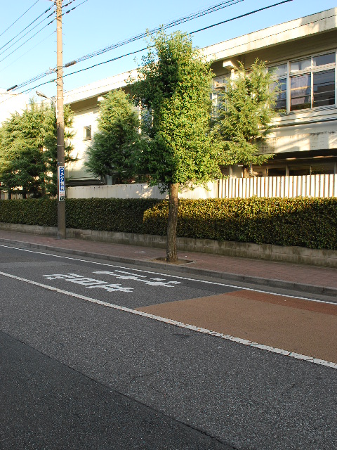 埼玉県戸田市立戸田第一小学校・旧校舎(昭和モダン建築探訪)_f0142606_1032363.jpg