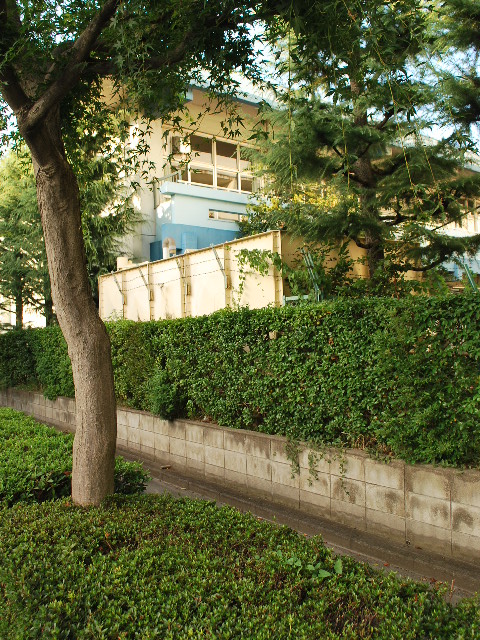 埼玉県戸田市立戸田第一小学校・旧校舎(昭和モダン建築探訪)_f0142606_10353143.jpg