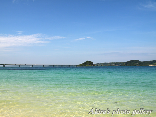 島戸海水浴場_a0042211_1241039.jpg