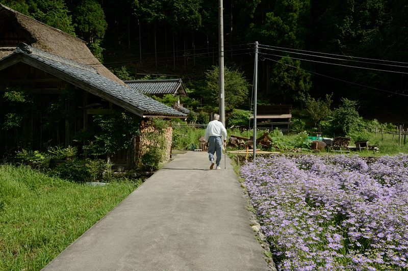 久多の里・北山友禅菊　其の一_f0032011_19135082.jpg