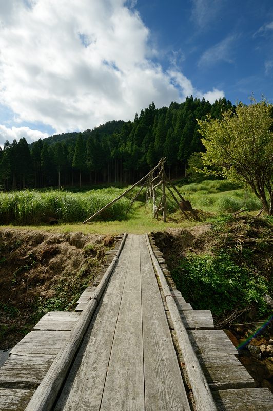 久多の里・北山友禅菊　其の一_f0032011_19141814.jpg