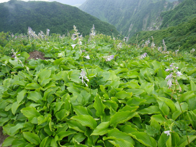 d0006512_107029.jpg