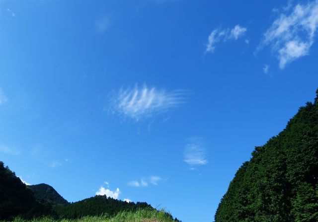 a0188023_7564624.jpg