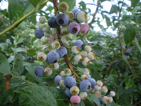 e0128024_12221027.jpg