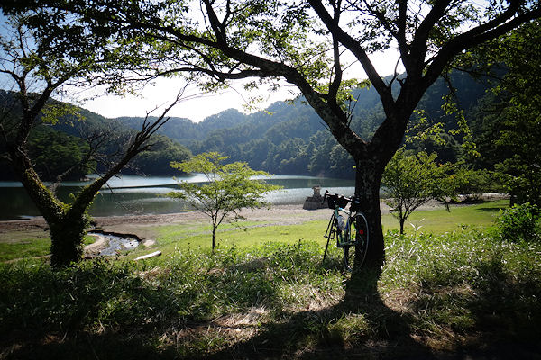 猛暑の朝ポタ～久々に赤松池へ_f0007926_1156048.jpg