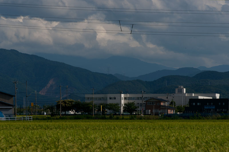 b0177233_51814.jpg