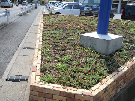 造園業に転職 初給料 かずさの星 造園業に転職 初給料 かずさの星
