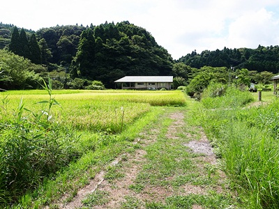 センター地区　夏から秋へ_a0123836_14122752.jpg