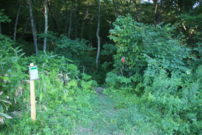 d0055236_167117.jpg