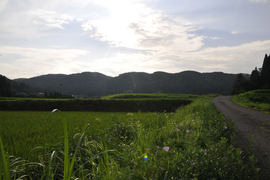 c0093046_17131942.jpg