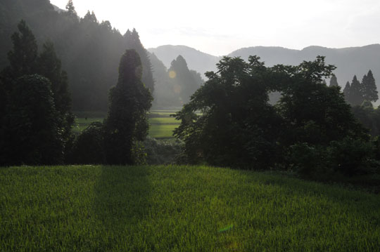 c0093046_1713386.jpg