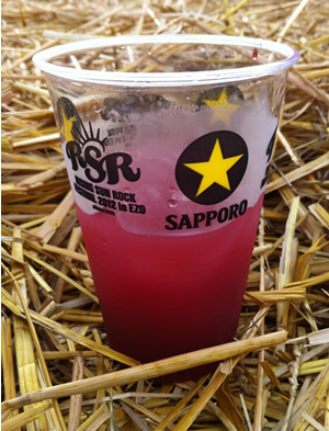 夏旅2012~夏フェス~_a0043747_1824483.jpg