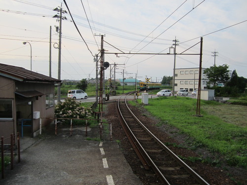 ”おおかみこどもの雨と雪”の場面を探して@木造の小学校_a0243562_15321356.jpg