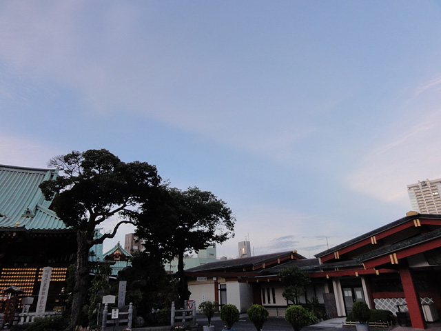 b0006870_10411212.jpg
