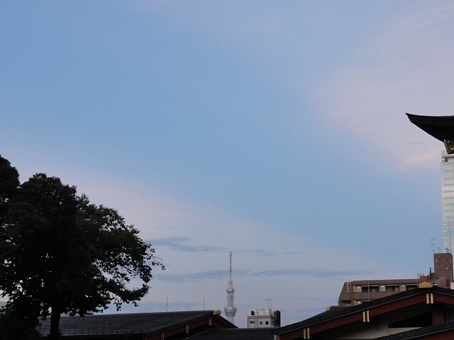 b0006870_10572471.jpg