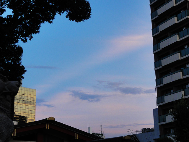 b0006870_10574563.jpg