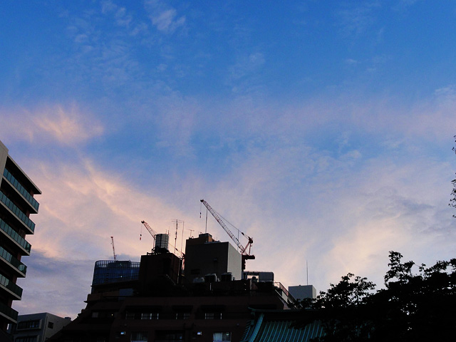 b0006870_1111261.jpg