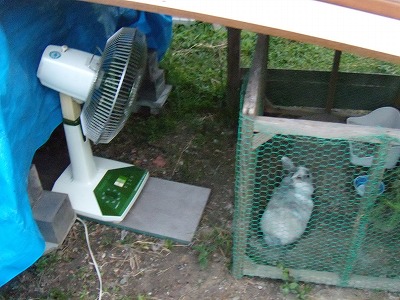 がんばって掘ったんだよね!!_d0165772_20341935.jpg