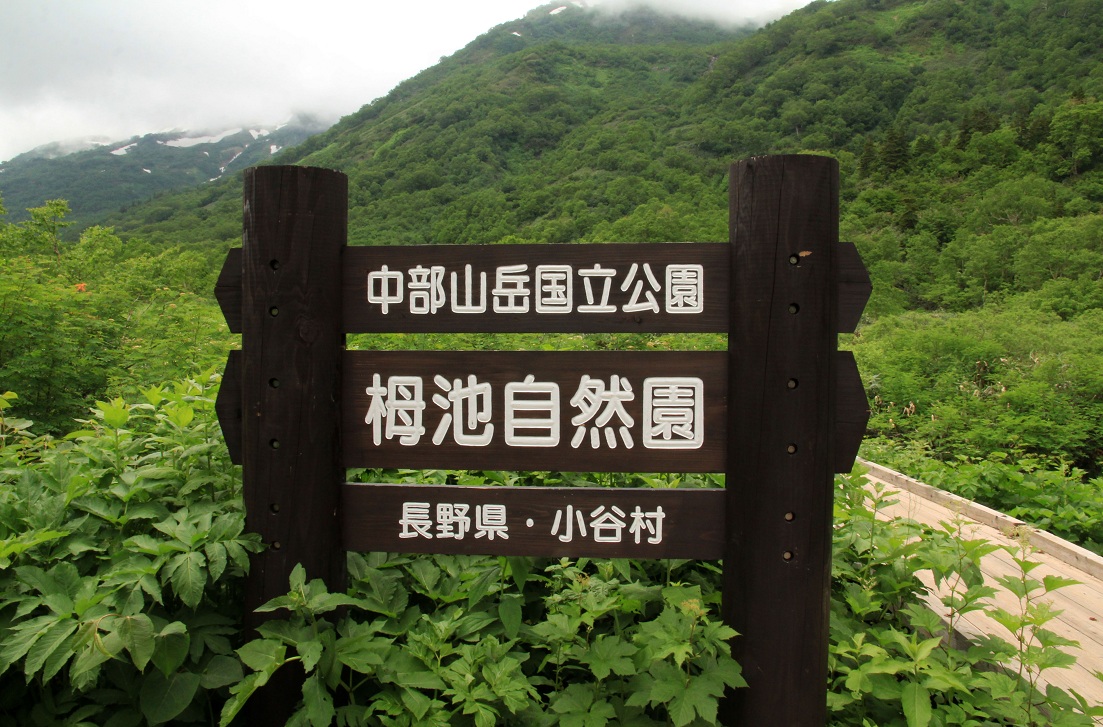 バーチャルから涼しさを探して_a0107574_10263290.jpg