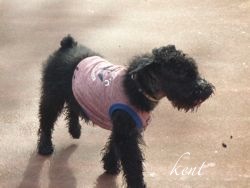 何処でも小さい奴なんです…_d0266681_11453657.jpg