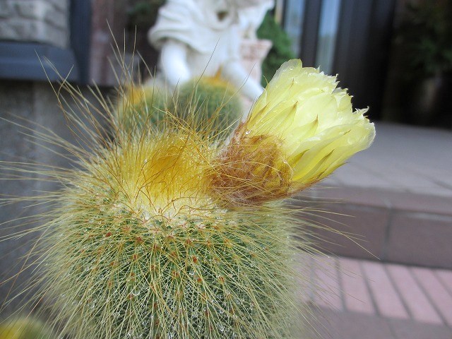 b0182884_23515194.jpg