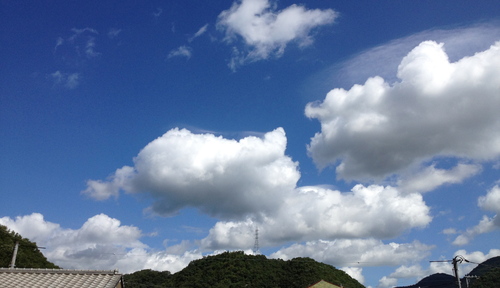 a0167896_041377.jpg
