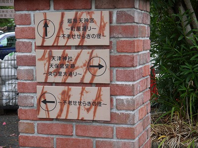帰省_a0233896_23411648.jpg