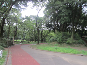 利根川自転車道と高崎伊勢崎自転車道ポタ　2_a0117599_2131293.jpg