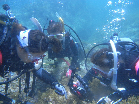 e0115199_20203765.jpg