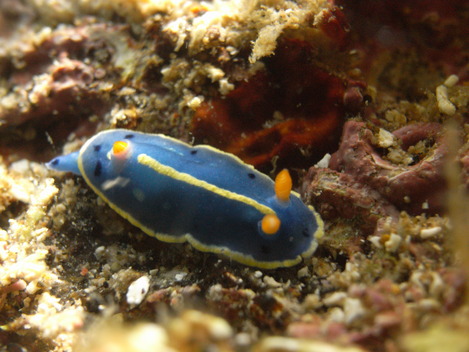 e0115199_2021349.jpg
