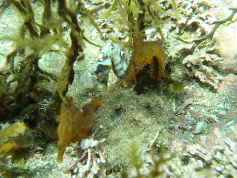 e0115199_20222059.jpg