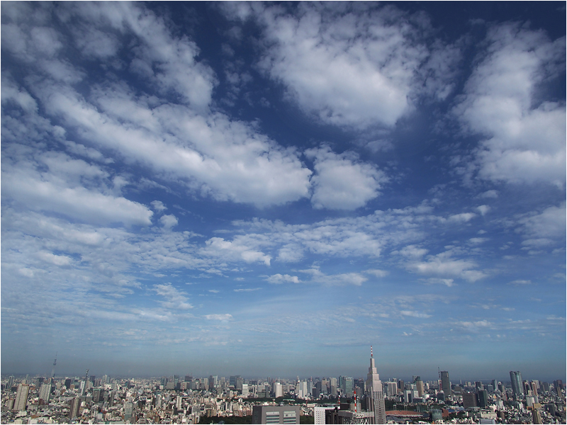 e0031502_7433234.jpg