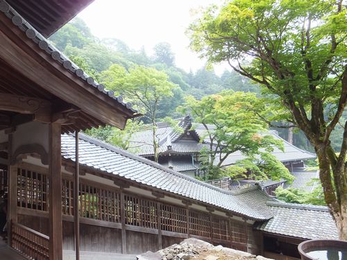  「永平寺」伽藍を巡る＃5：七堂伽藍の最高位の「法堂」_f0120102_13154436.jpg