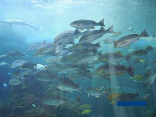e0144903_003458.jpg