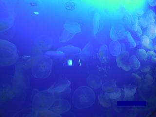 e0144903_0172637.jpg